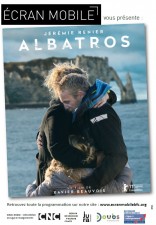 Albatros (2).jpg